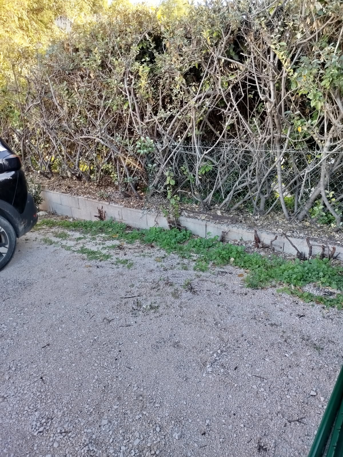 MD-Renovation-Aix-en-Provence-demolition-de-cloison (4)